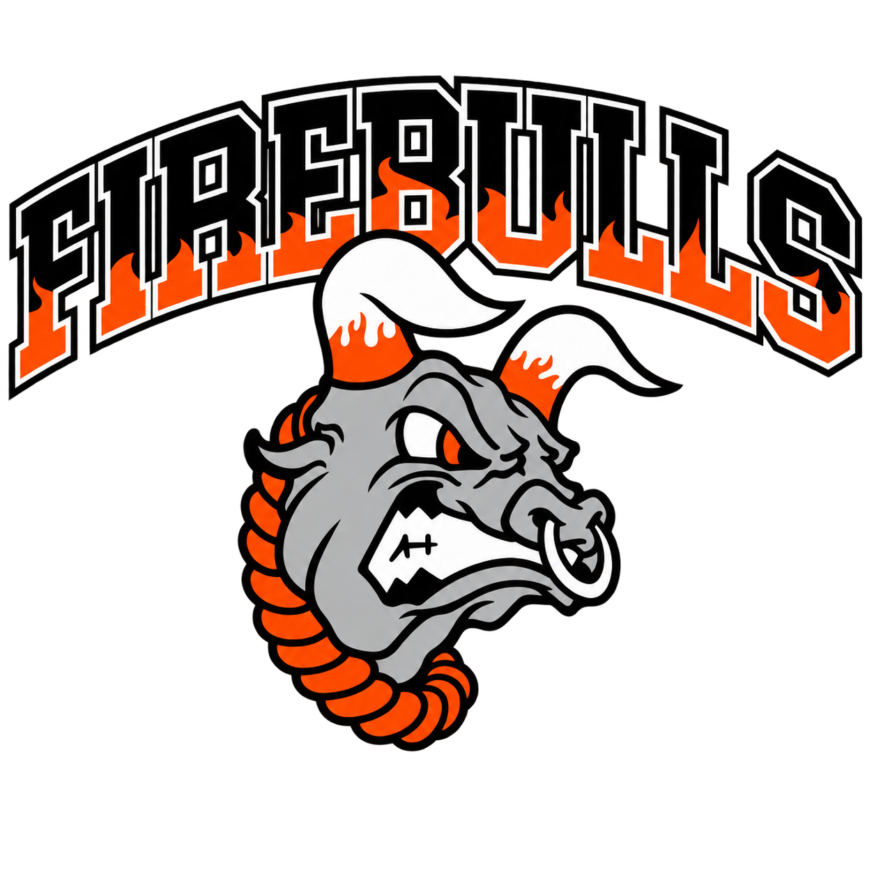 富山大学 Firebulls
